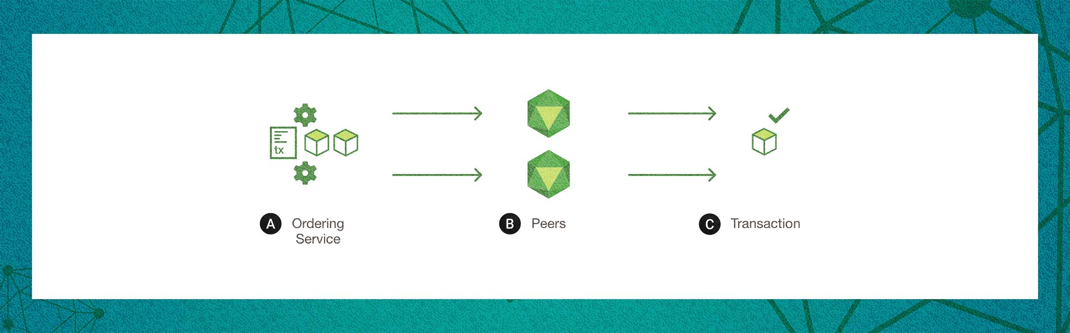 THE TRANSACTION IS... // <a target='_blank' href='https://hyperledger-fabric.readthedocs.io/en/latest/txflow.html'>Hyperledger Docs</a>