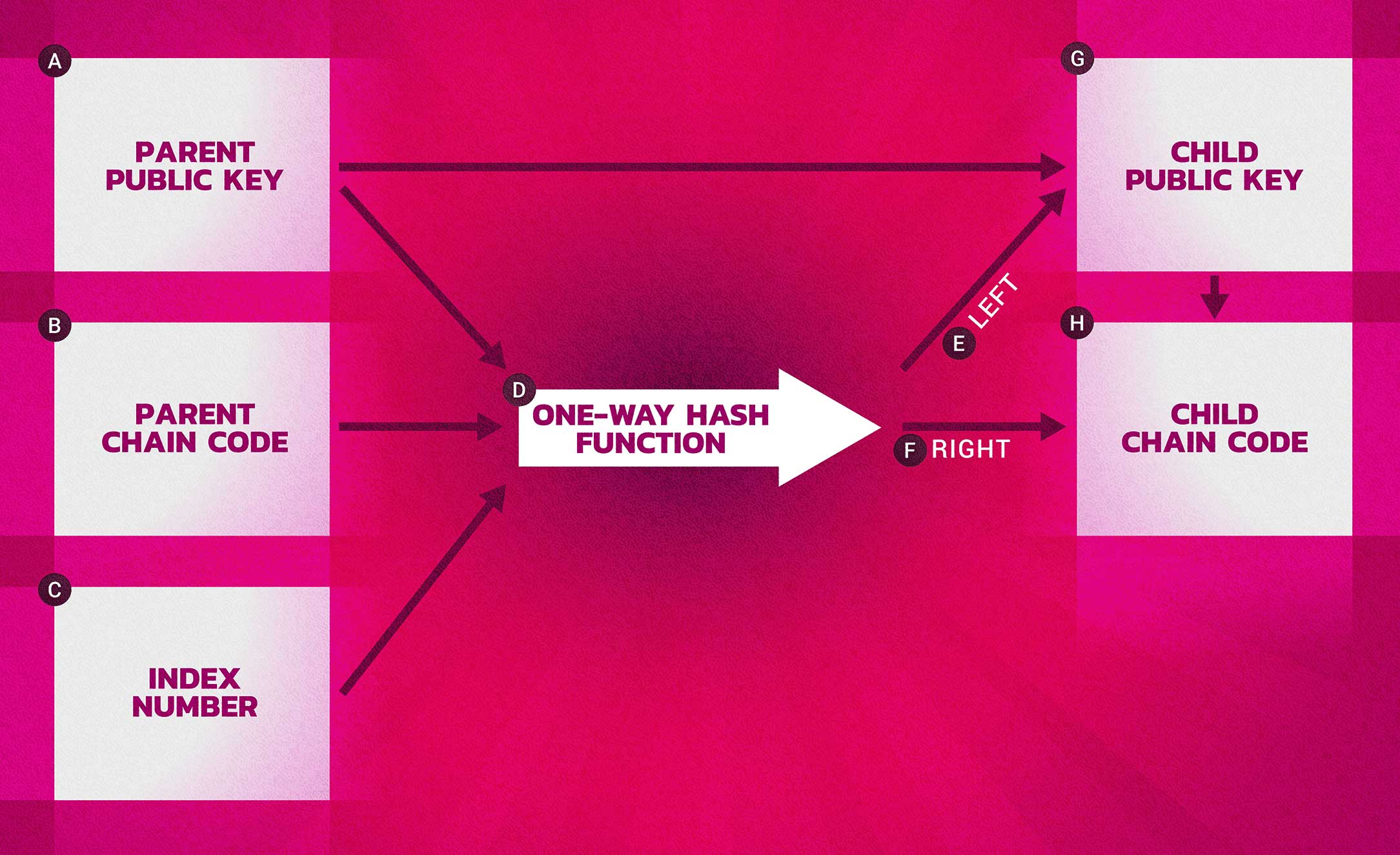 HD Wallets | weteachblockchain.org