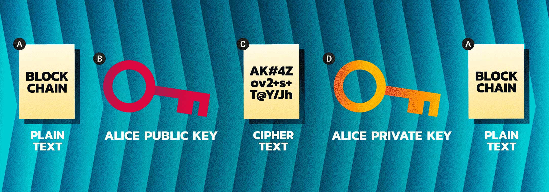 Public and Private Keys